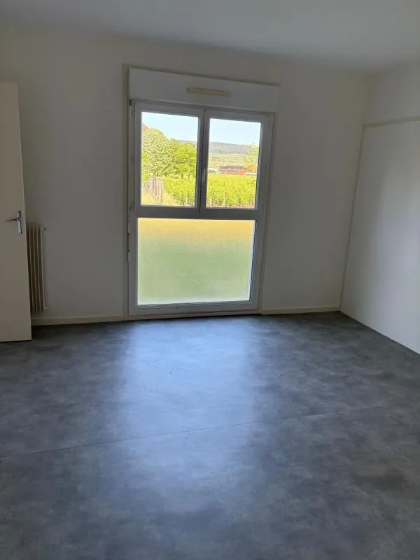Toad - 5-Bedroom Flat with Secure Access in Gevrey Chambertin