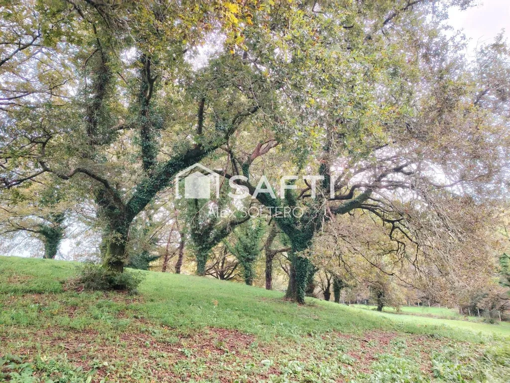 Jardin - Stone House with Large Plot in Negreira