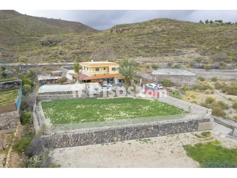 Vue aérienne - House with Vineyard in Granadilla de Abona