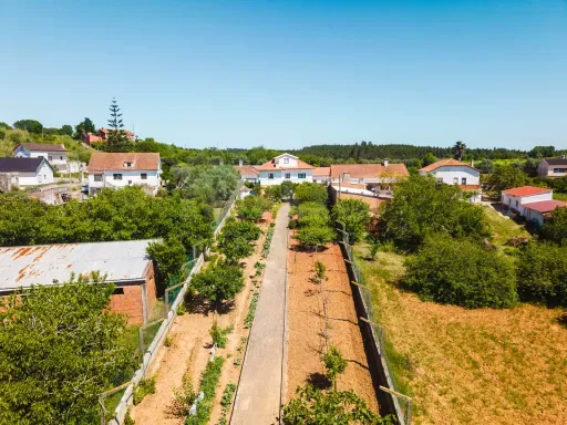 Vue aérienne - Charming House with Fruit Trees in Private Setting