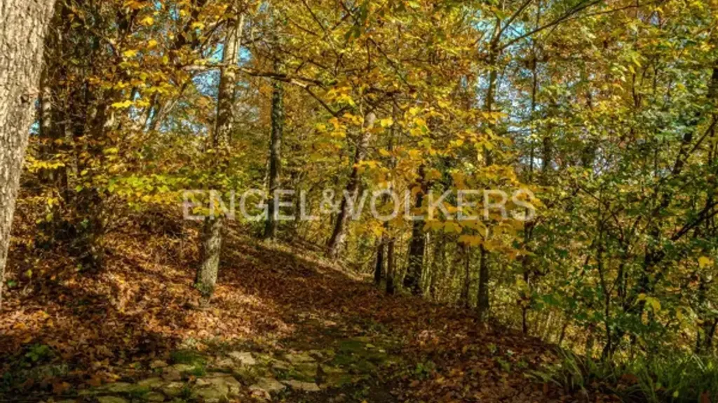 Giardino - Luxury Villa with Private Forest in Refrontolo