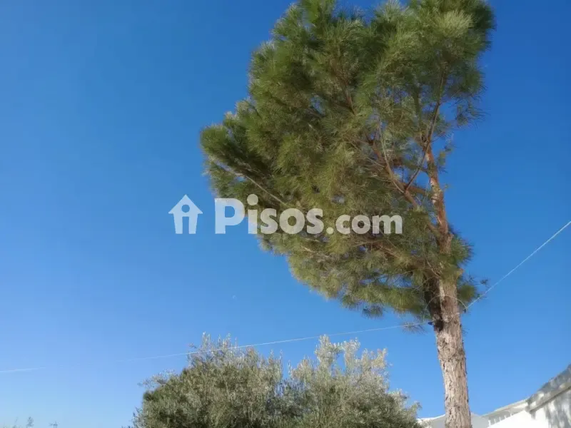 Garden - Rustic House with Garden in La Atalaya