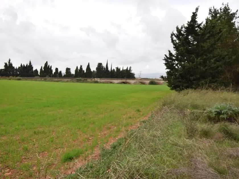 Jardin - Maison à Balears (Illes)
