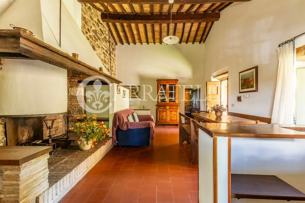 Séjour - Luxury Farmhouse with Pool in Sarteano