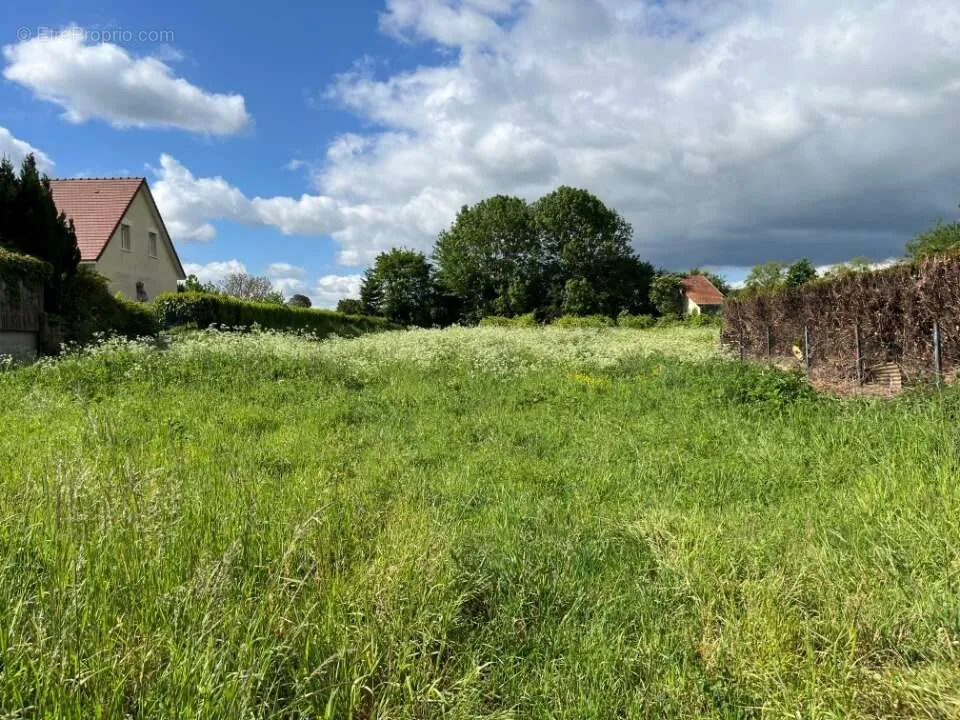 Jardin - Terrain avec Orientation Sud à Abbeville
