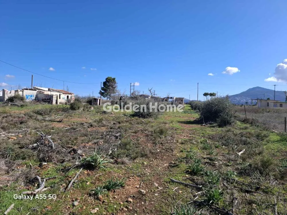 Land in GR
