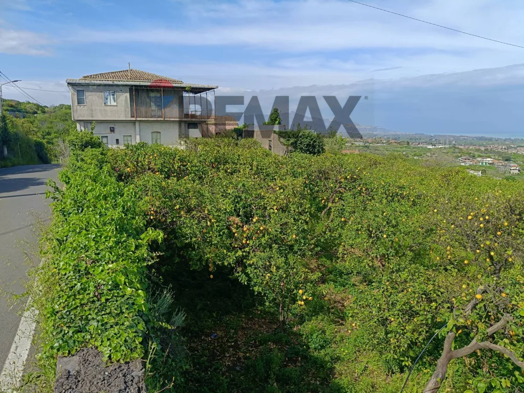 Jardin - Agricultural Estate with Lemon Grove in Mascali