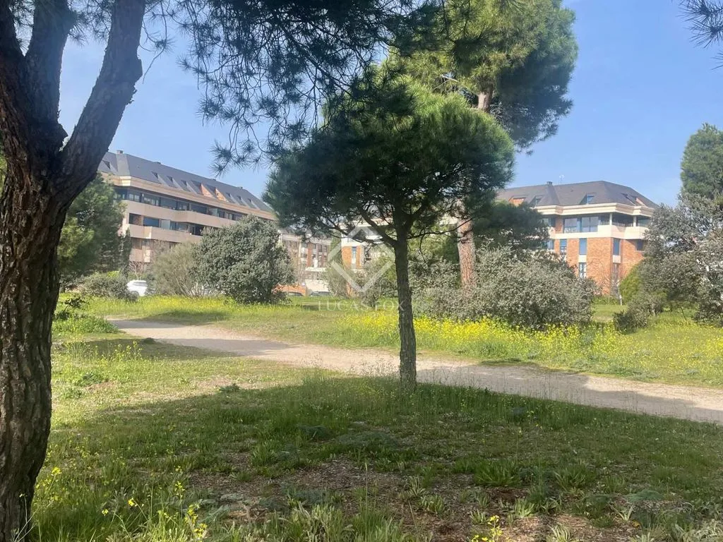 Jardin - Plot with Garden in Majadahonda