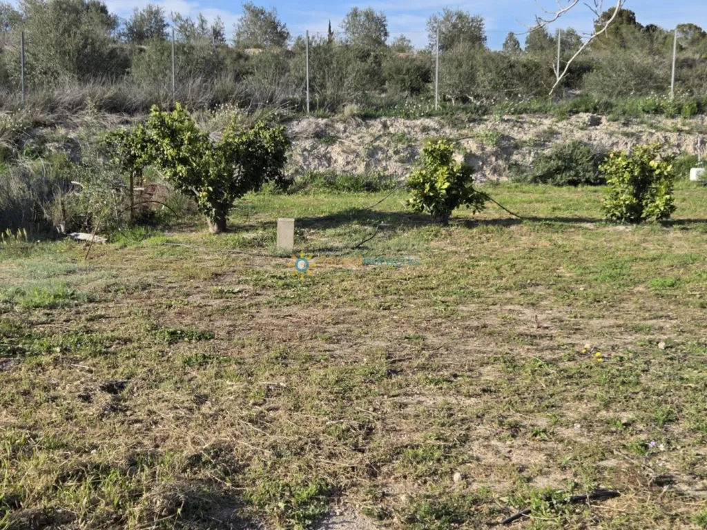 Aed - Plot with Two Buildings near L'Olleria