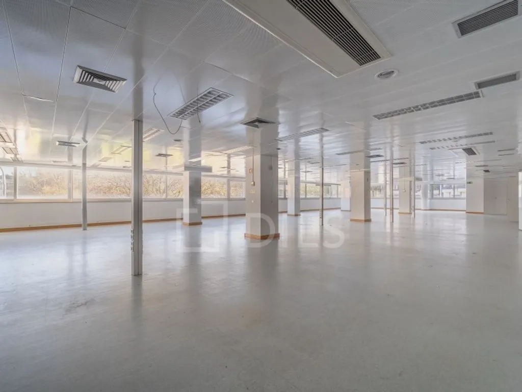 Toad - Office Space with Natural Light in Porto