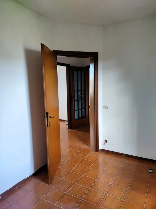 Toad - Spacious Three-Bedroom Apartment with Terrace in Adria