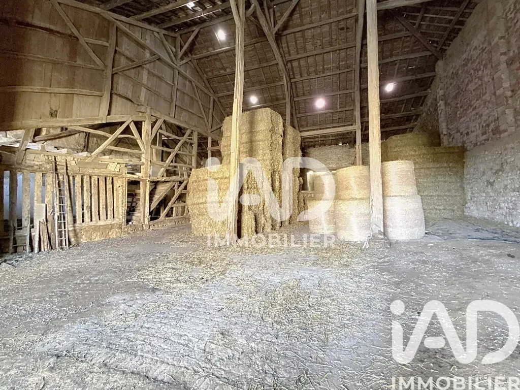 Stanze - Equestrian Domain with House in Nubécourt