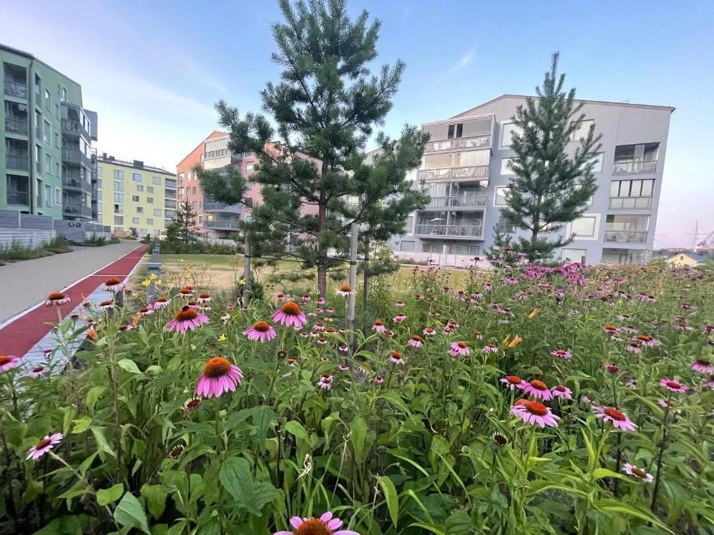 garden