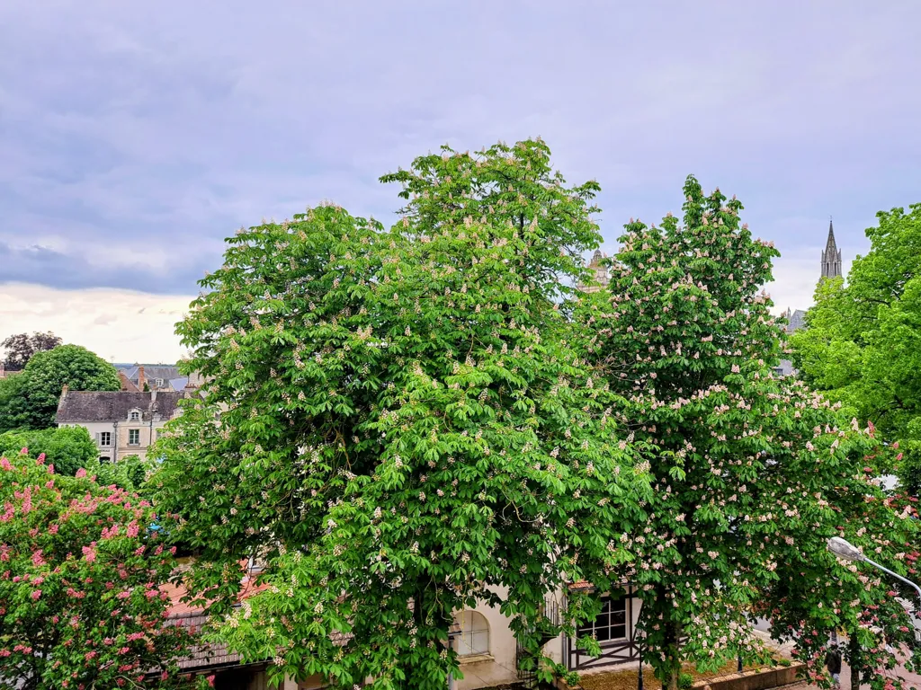 Balcony - One-Bedroom Apartment in Senlis Centre
