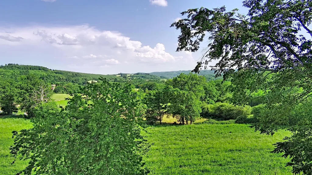 Jardin - Ensemble Immobilier avec Grange dans un Cadre Verdoyant