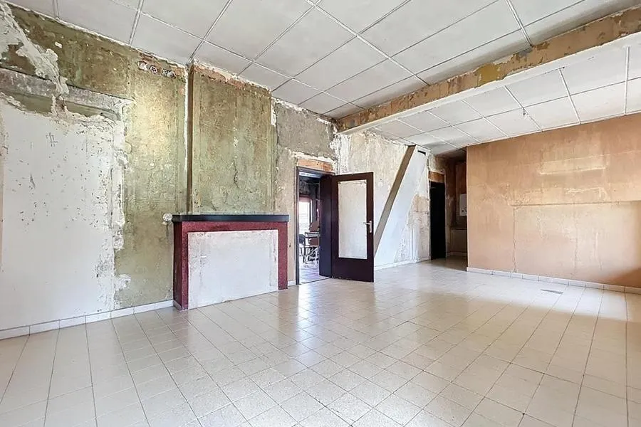 Toad - 3-Fronted House to Renovate in Gilly