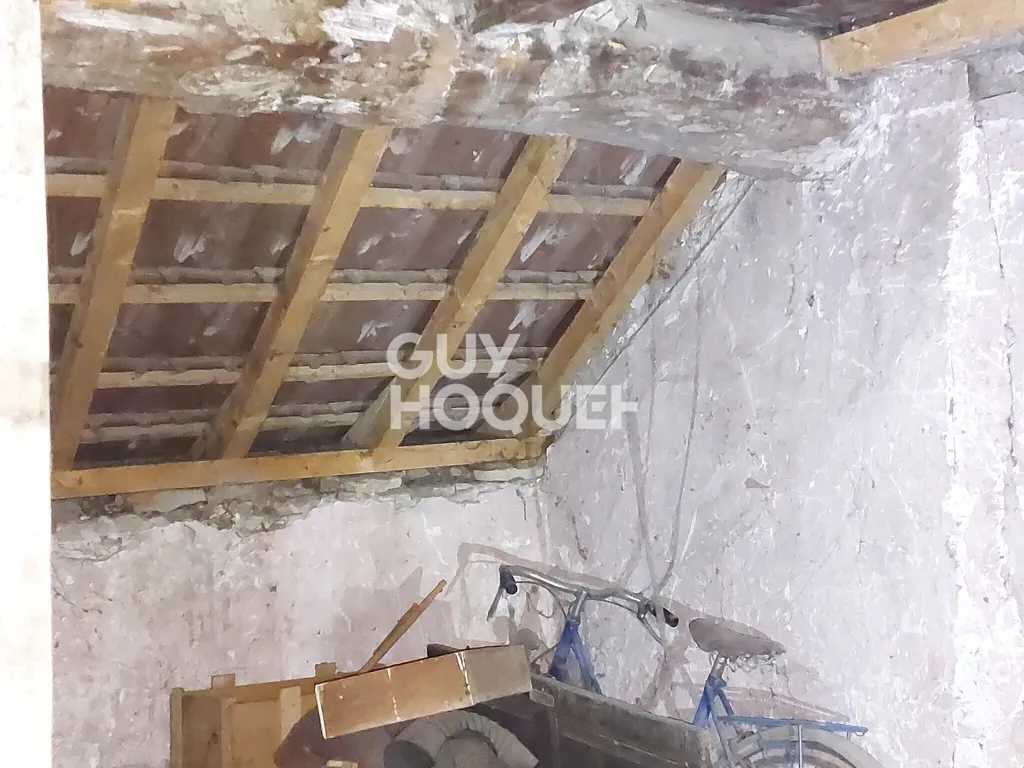 Toad - Two-Unit Property with Renovation Potential in Hérisson-sur-Amby