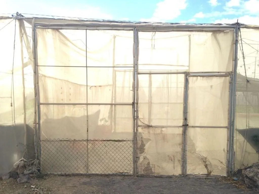 Rooms - Land with Greenhouse in Guía de Isora