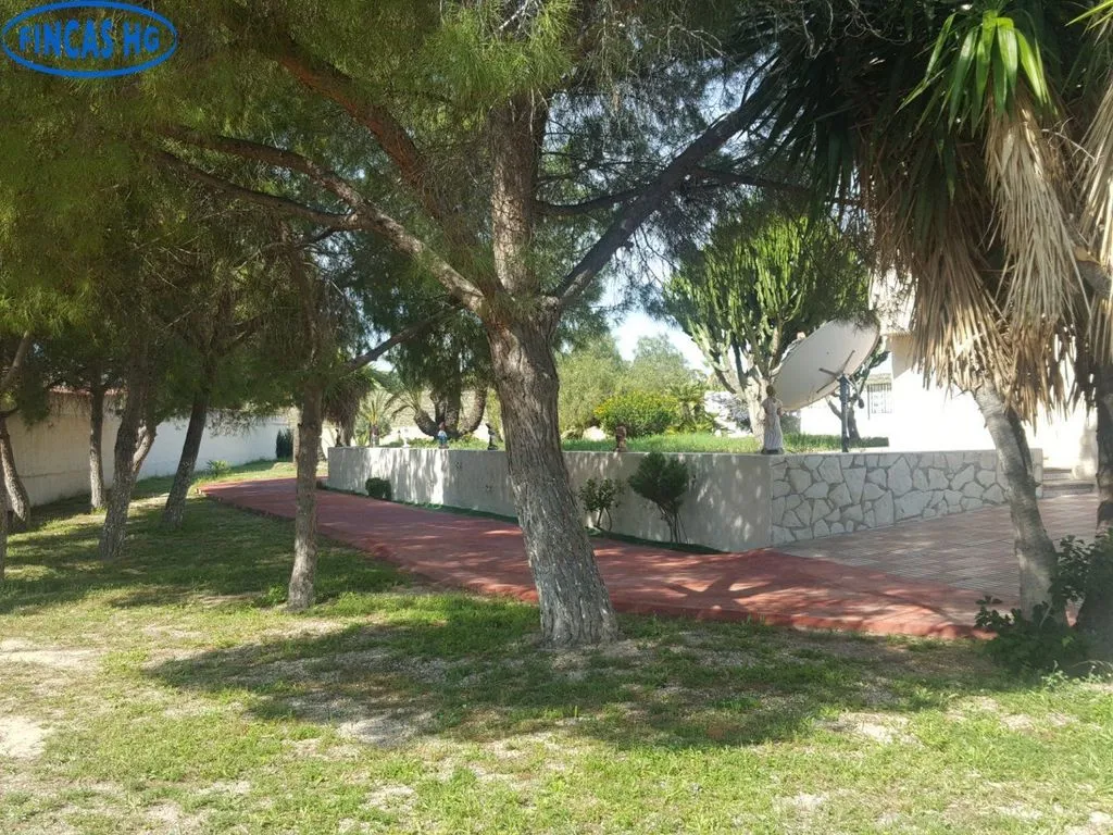Jardin - Luxury Villa with Pool in Alicante