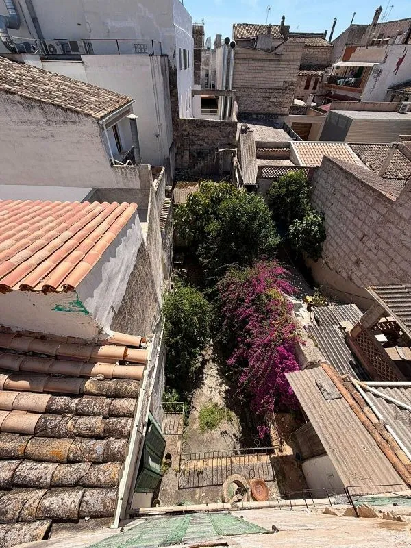 Garden - Historic Chalet with Terrace in Sa Pobla