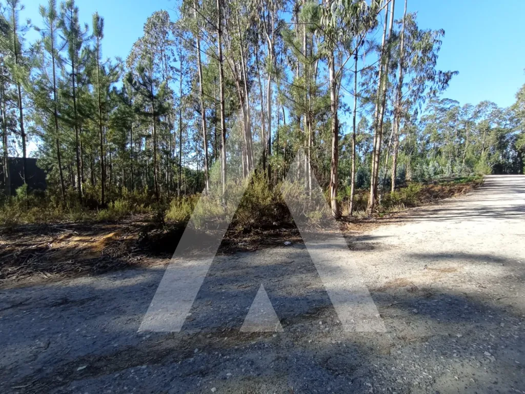 Aed - Industrial Plot with Strategic Access in Zicofa