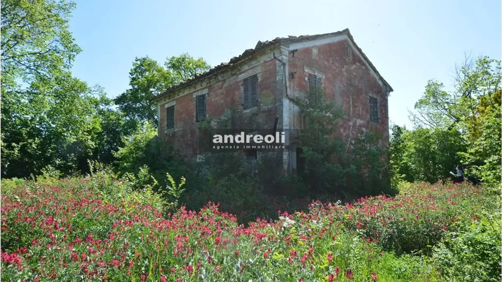 Exterior - Rustic Property with Private Courtyard in Belvedere Ostrense
