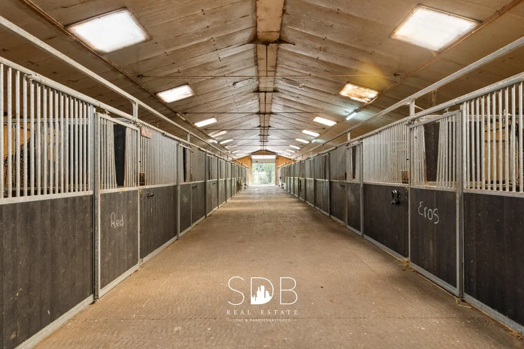 Hallway - Farmhouse with Equestrian Facilities in Weelde