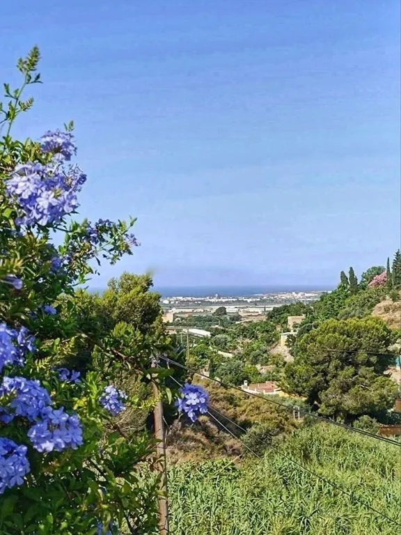 Jardin - Luxury Hotel with Pool in Motril