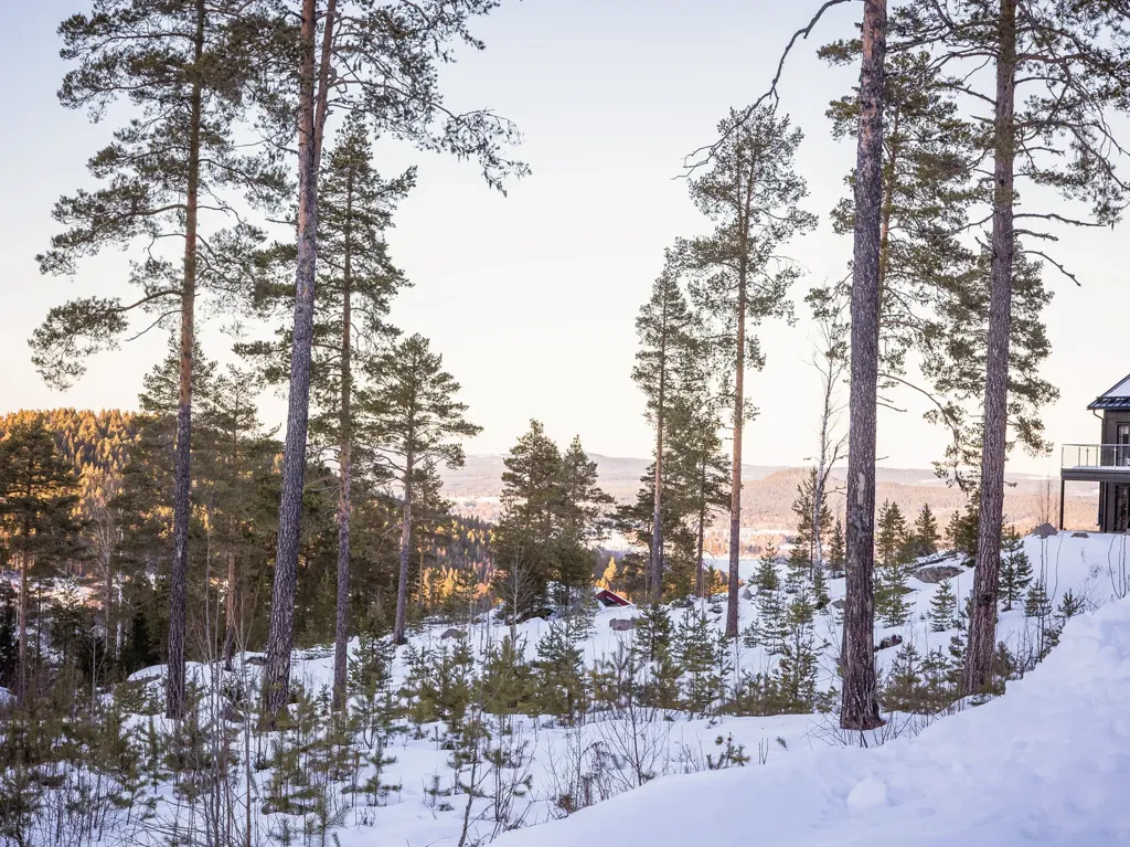Extérieur - Buildable Plot with Ski Access in Järvsö