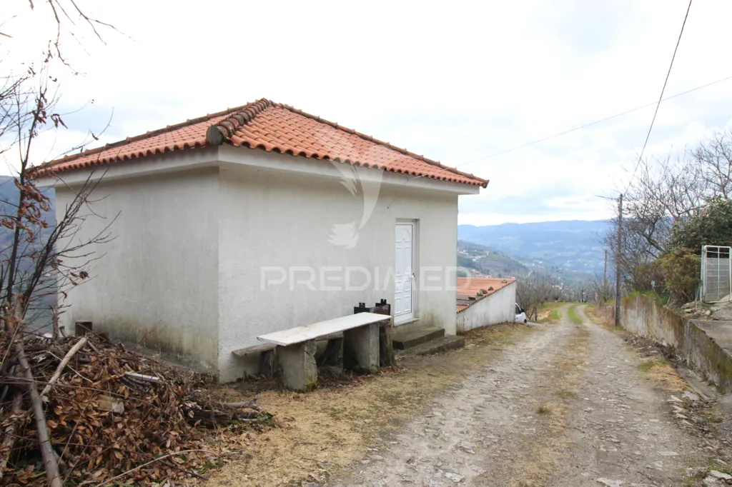 Extérieur - Douro Vineyard with Water Source in Resende