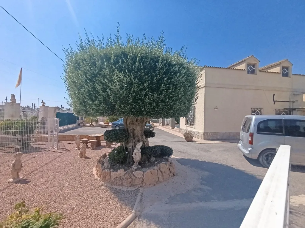 Chalet with Pool in Algoros, Elche