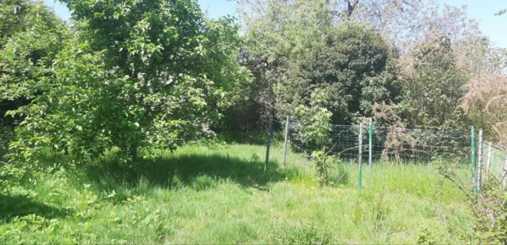Jardin - Maison à rénover avec terrasse à Rixensart