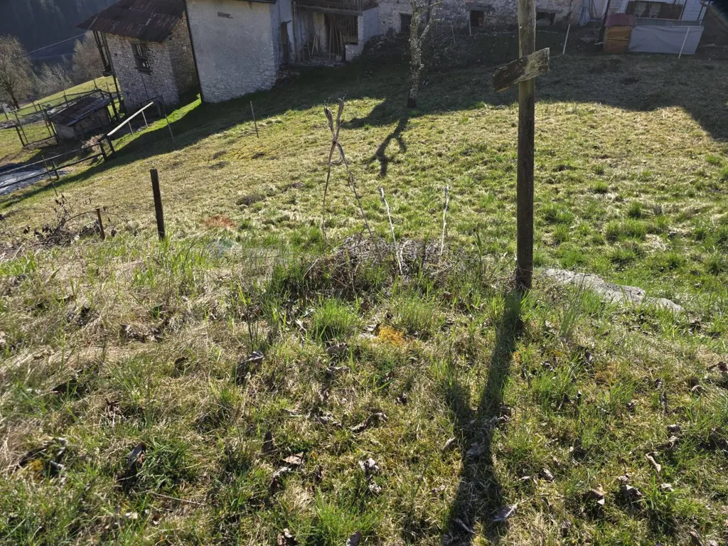 Jardin - Semi-detached House with Garden in Lamon
