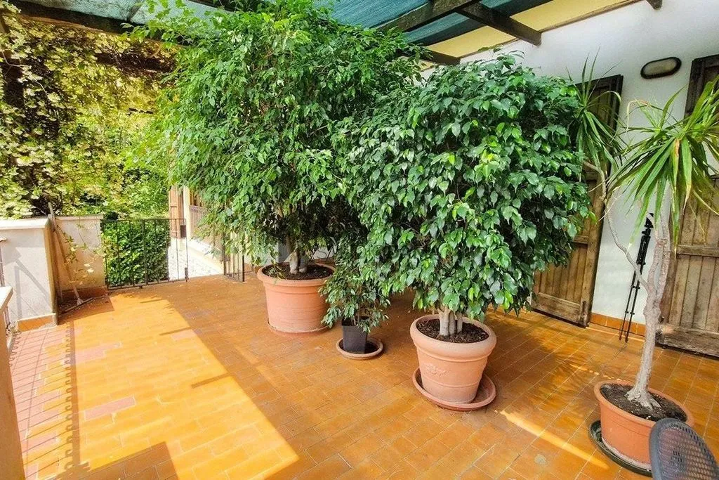 Terrazza - Villa with Extensive Land in Collebeato