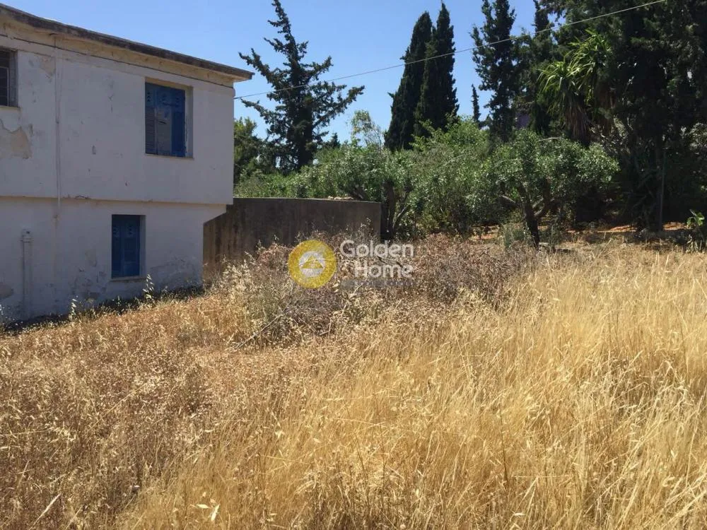Giardino - Villa with Garden in Eastern Attica