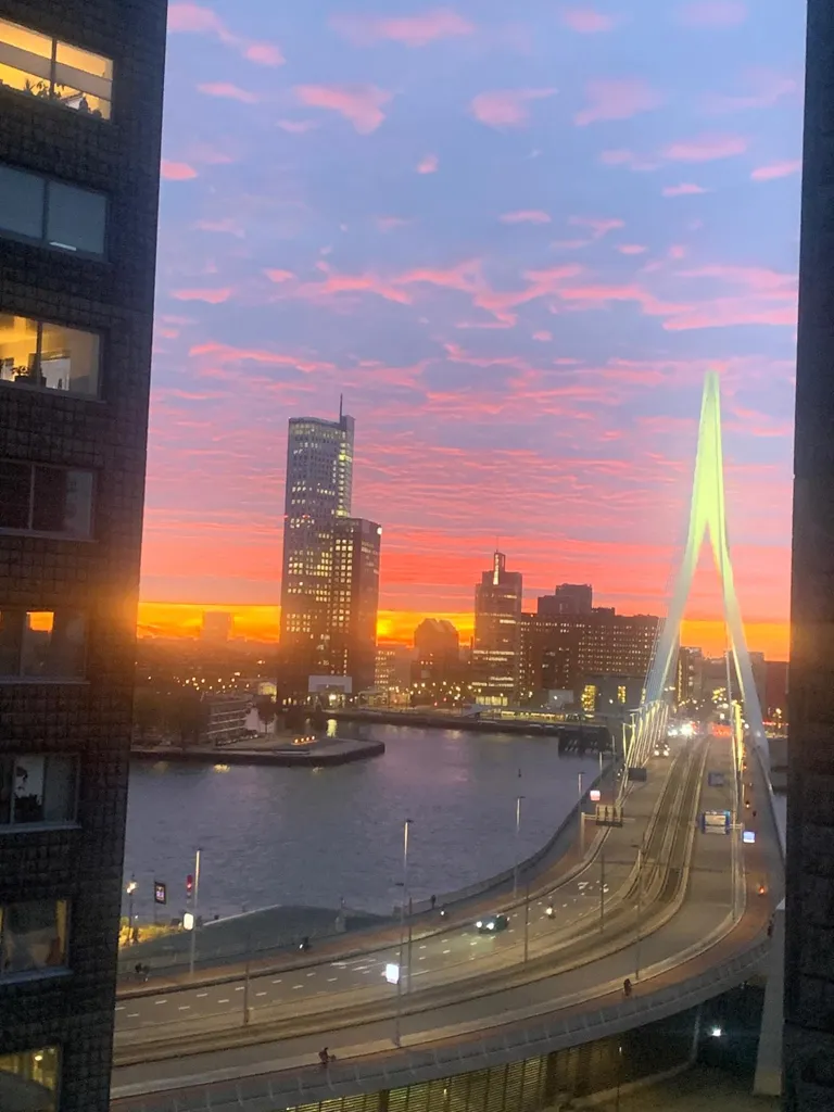 Rõdu - Room for Rent with Pool in Central Rotterdam