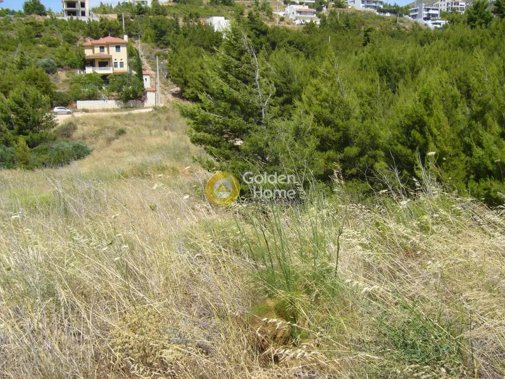 Jardin - Corner Plot House with Sea View in Diony
