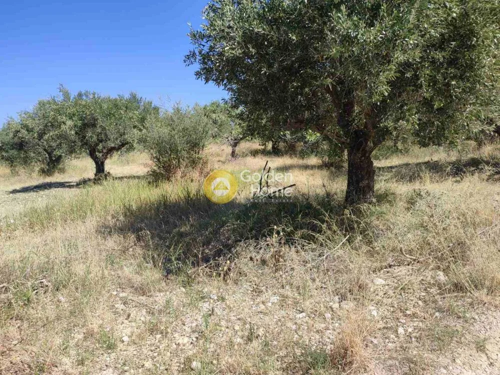 Giardino - Agricultural Plot with Sea Access in Patras
