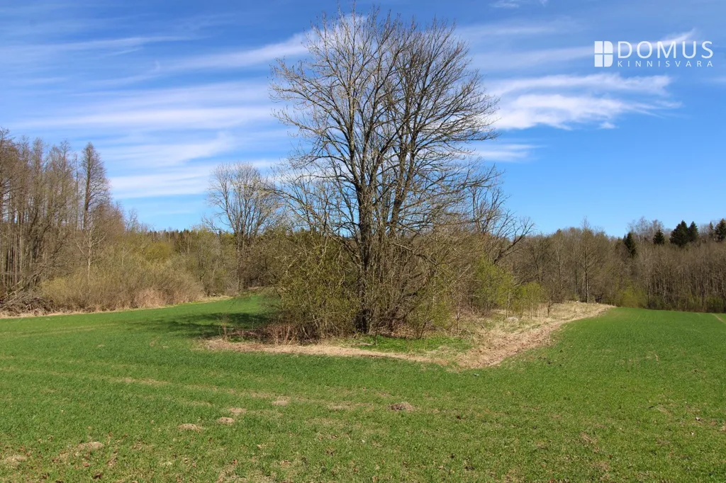 land_plot