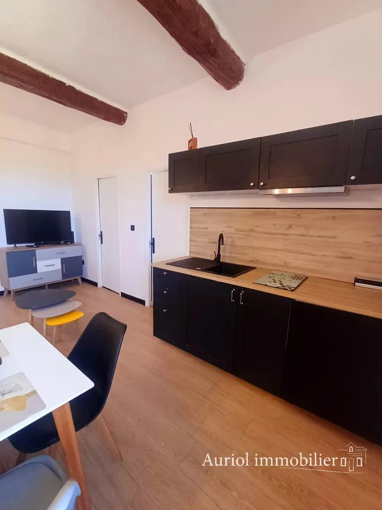 Köök - Meubled 2-Bedroom Apartment in Peynier