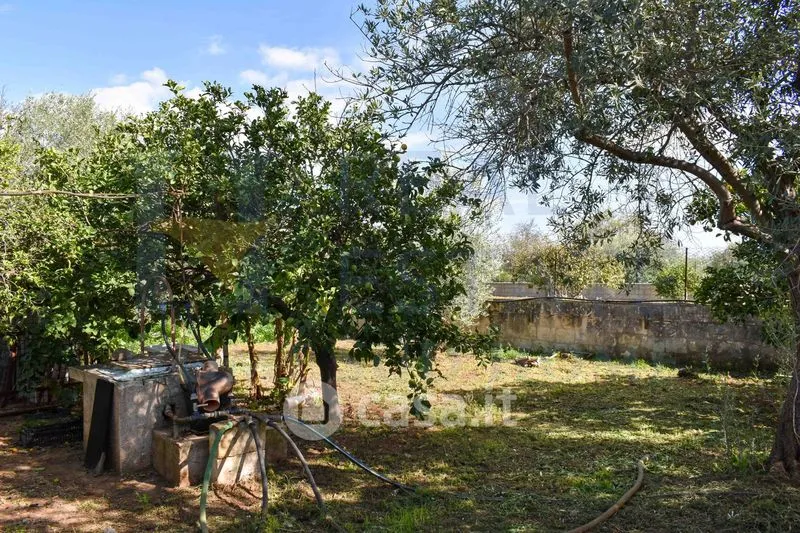 Jardin - Country House with Sea View in Noto