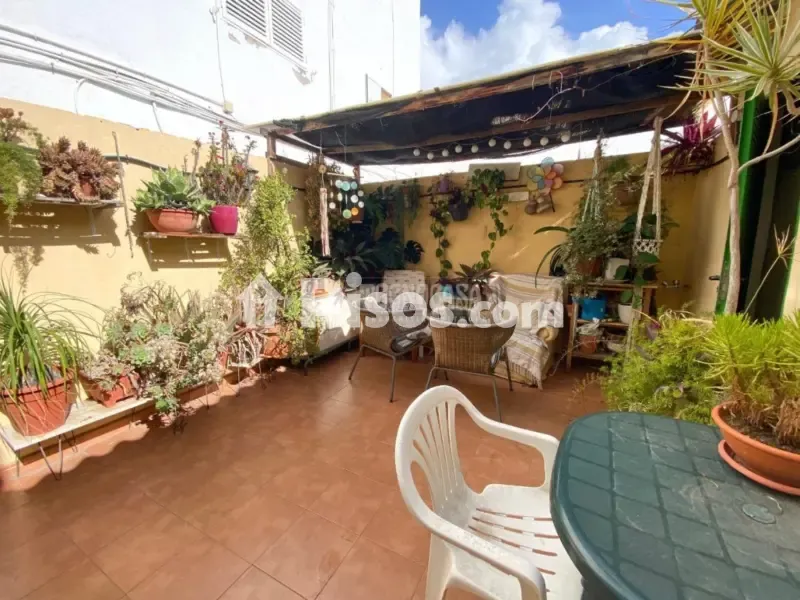Terrasse - Apartment with Terrace in Gáldar