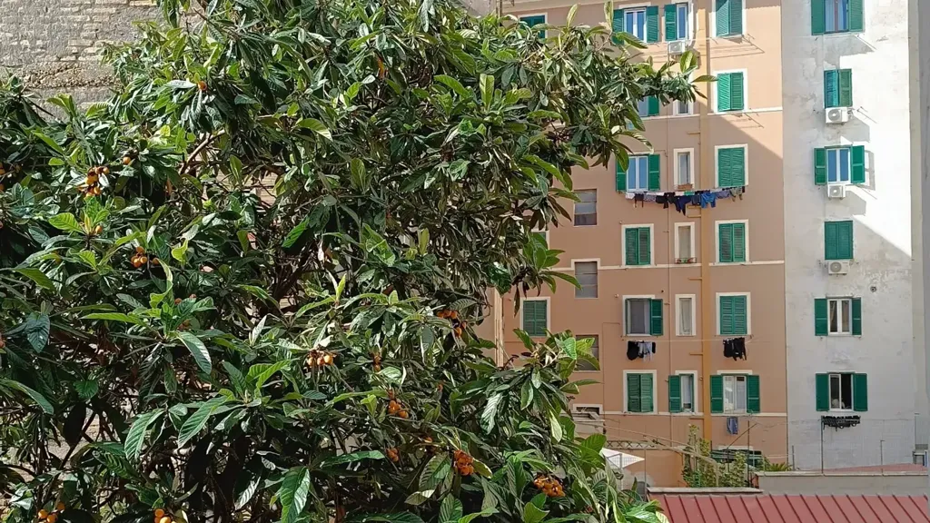Rõdu - Rented Apartment with Balcony in Rome