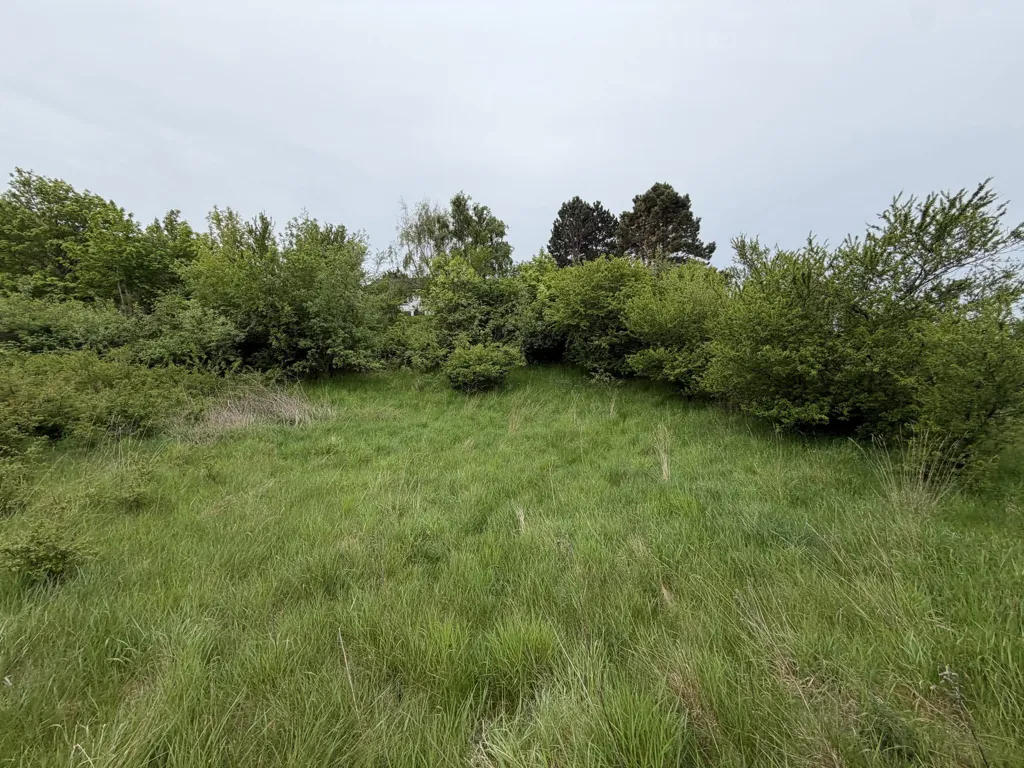 Aed - Vacation Plot in Knebel, Syddjurs