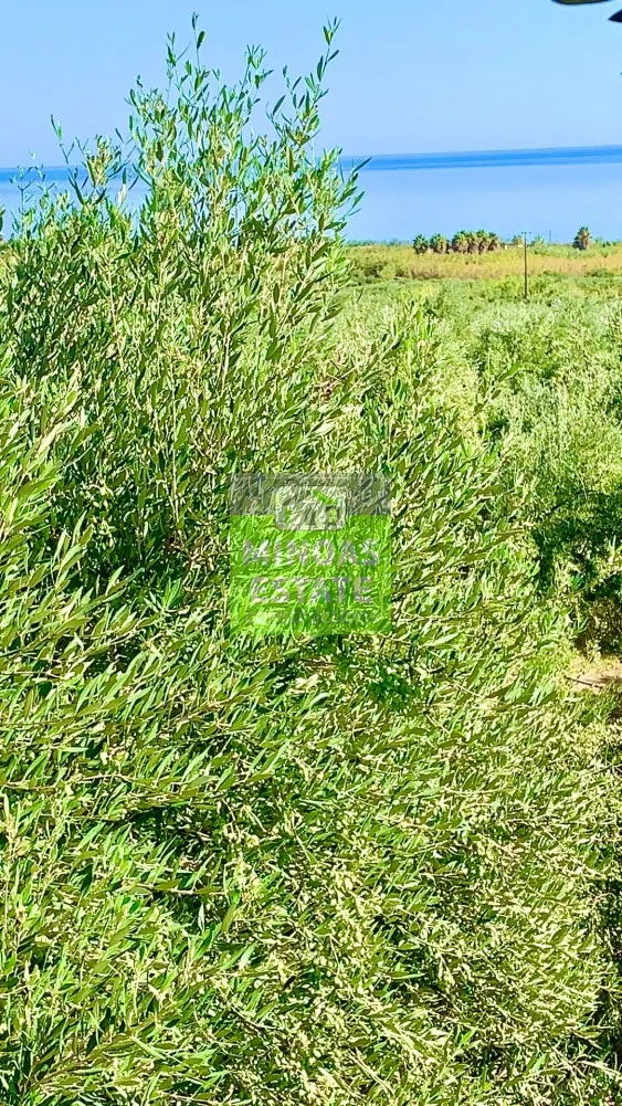 Aed - Plot with Unobstructed Sea View in Maléme