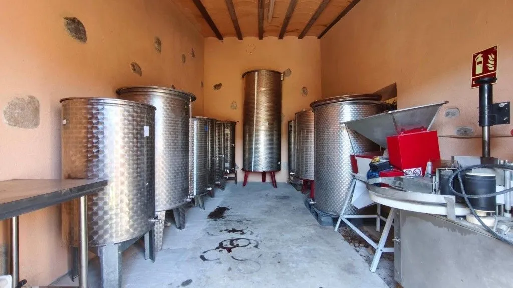 Toad - Boutique Vineyard with Winery in Priorat