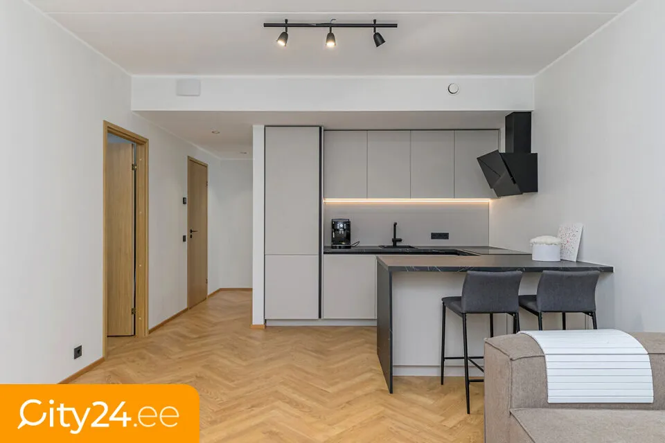 Séjour - Minimalist 2-Room Flat with Balcony in Tiskreoja