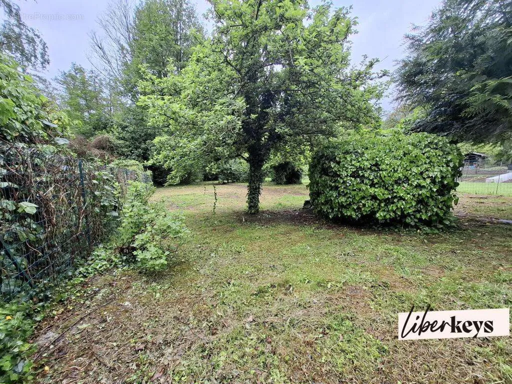 Jardin - Maison Lumineuse à Sainte-Mesme, Proche Dourdan