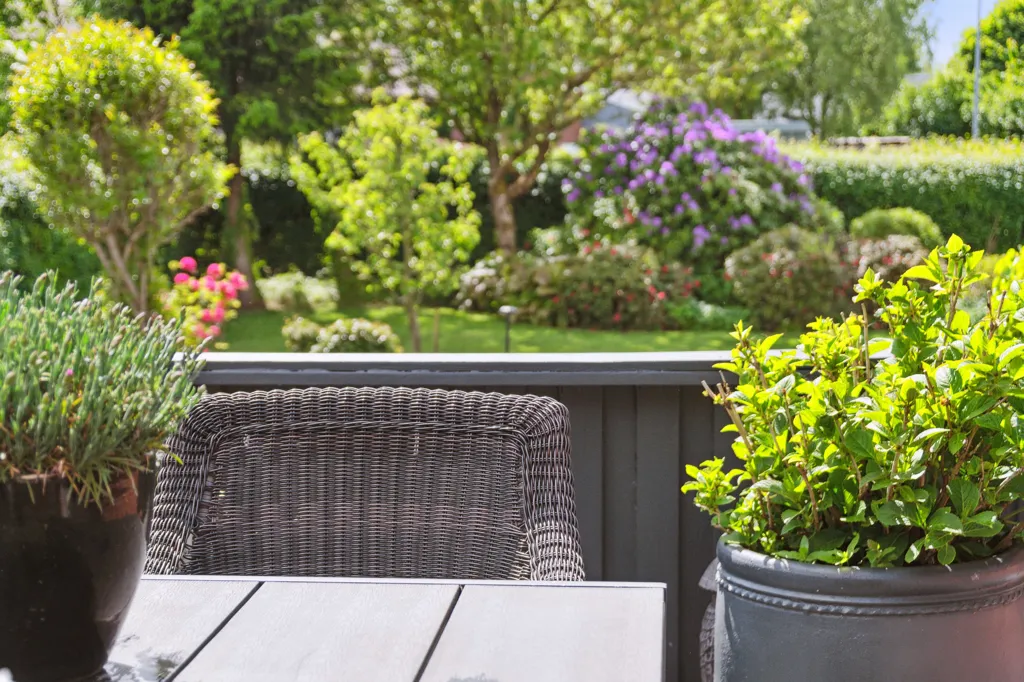 terrace_patio