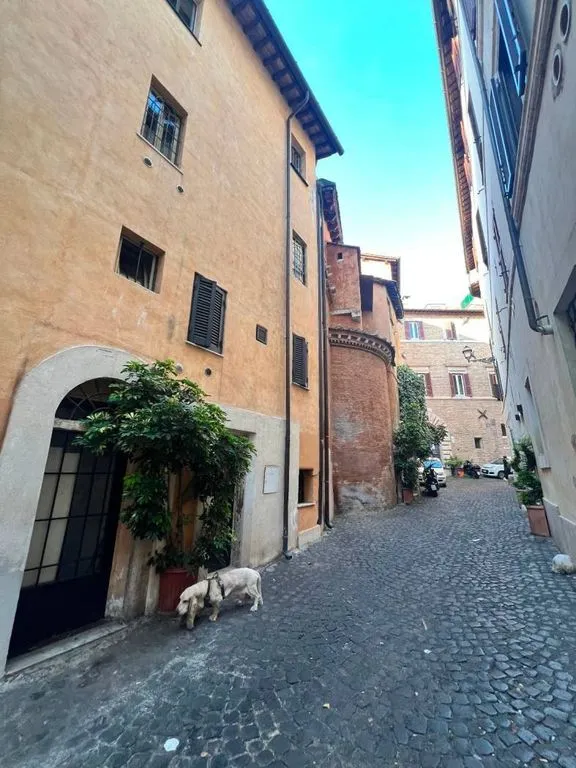 Aed - Luxury Flat with Historic Views in Rome